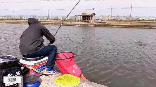 河边怎么样钓鱼视频，河边怎么样钓鱼视频教学