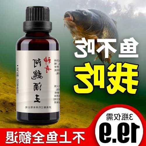 小药水钓鱼怎么样，用小药钓鱼效果好不好?？