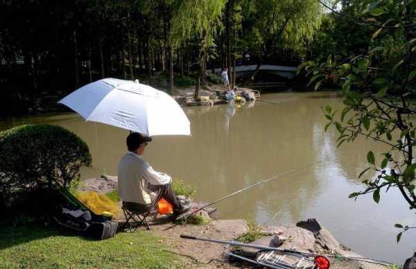 春天西风钓鱼怎么样，春季西风野钓如何?