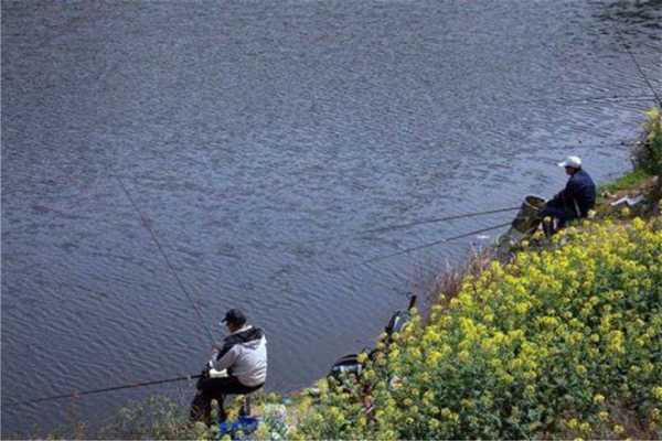 春天西风钓鱼怎么样，春季西风野钓如何?