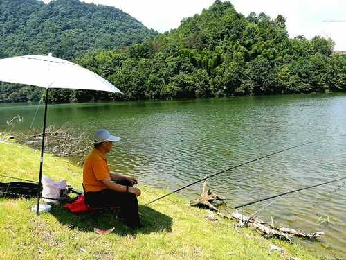 水湾处钓鱼怎么样，水湾头钓鱼场？