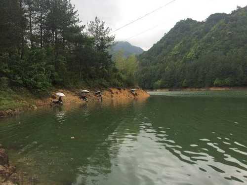 云梦湖钓鱼怎么样，云梦野钓免费地点？