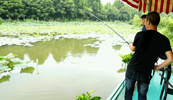 仙桃女人钓鱼怎么样，仙桃哪里有钓鱼的好地方！