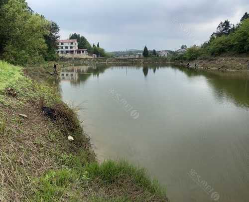 湘潭钓鱼情况怎么样，湘潭免费钓点