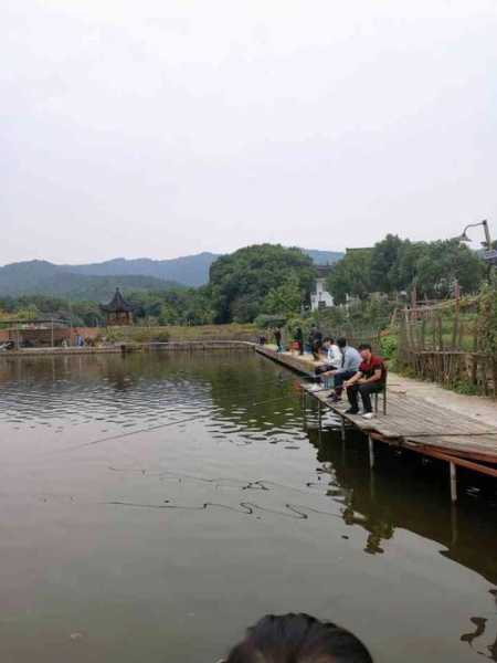 年丰农庄钓鱼怎么样，年丰大酒店