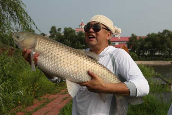 白鱼泡钓鱼怎么样，白鱼泡湿地公园钓鱼要钱吗