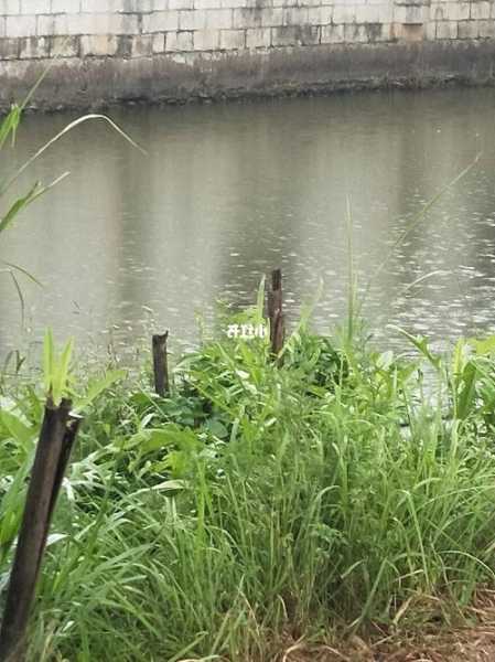 永嘉下雨钓鱼怎么样？永嘉钓鱼哪里好？