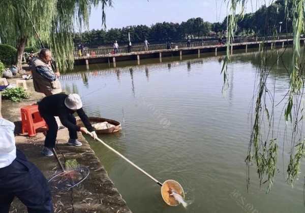 肥西冬天钓鱼怎么样，肥西冬天钓鱼怎么样最好