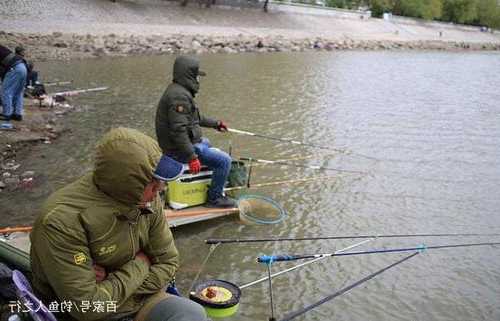 肥西冬天钓鱼怎么样，肥西冬天钓鱼怎么样最好