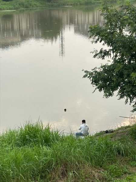 燕儿河钓鱼怎么样，燕儿河钓鱼怎么样最好