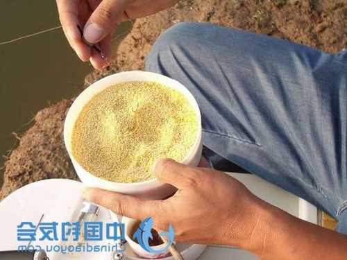 小米加酒钓鱼怎么样，钓鱼小米用酒怎样泡好