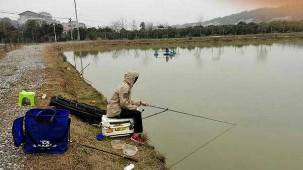 大师水沟钓鱼怎么样，大师钓鱼在哪学？