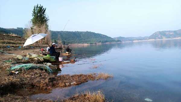 黄河浮桥钓鱼怎么样，黄河浮桥钓鱼怎么样好钓吗？