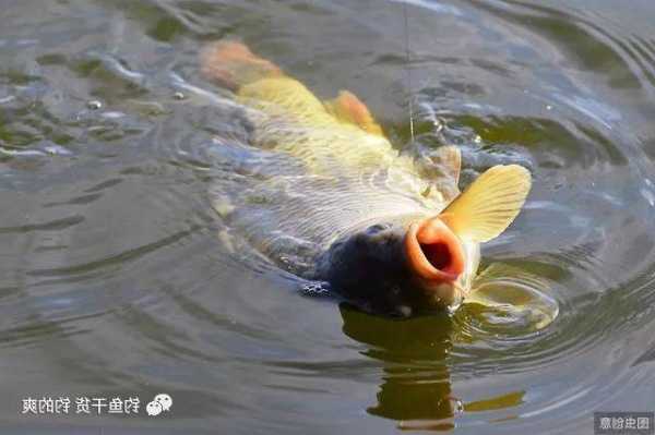 龙潭河沟钓鱼怎么样，龙潭湖水库钓鱼！