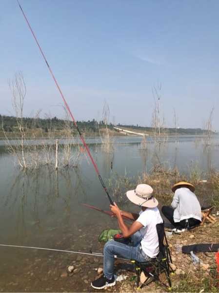 鸭子湖钓鱼怎么样，新疆鸭子湖钓鱼