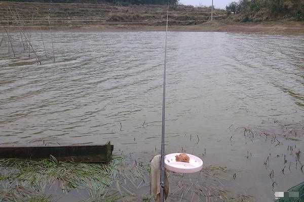 大江里怎么样钓鱼，怎样在大江大河里钓鲤鱼