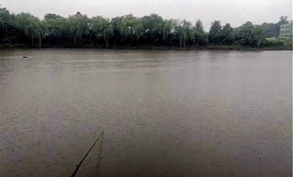 夏季小雨怎么样钓鱼，夏天小雨天气钓鱼钓底还是钓浮？