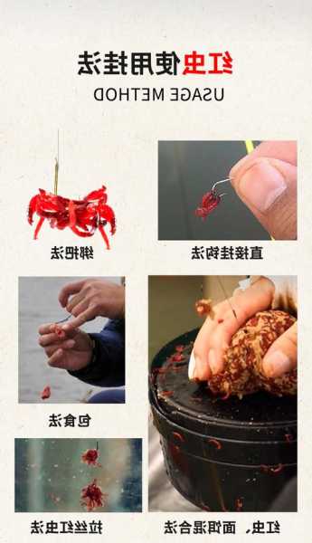 开箱蚯蚓钓鱼怎么样，蚯蚓开拉饵怎么开