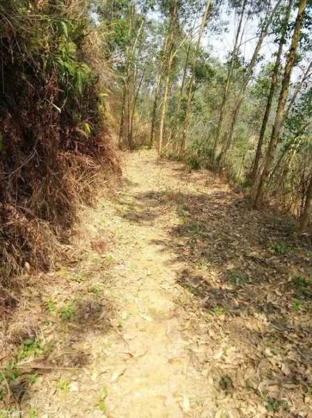 丛林基地钓鱼怎么样，丛林探险基地