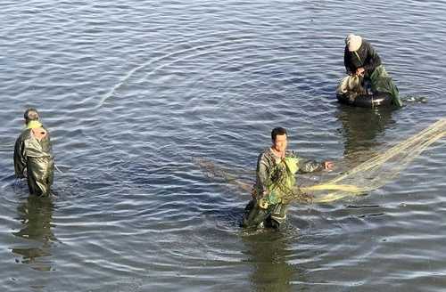 枯河钓鱼怎么样，干枯河道捕鱼