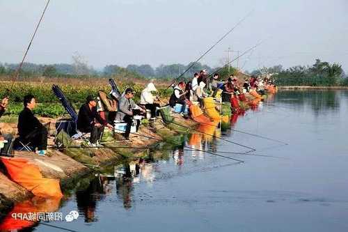 阳新大水钓鱼怎么样，阳新有哪些水库开钓？