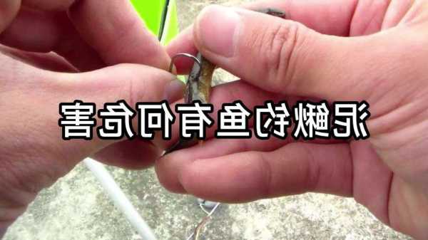 江阴泥鳅钓鱼怎么样，用泥鳅在江里钓鱼效果好吗?？