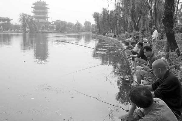 大明钓鱼场怎么样，大明湖 钓鱼