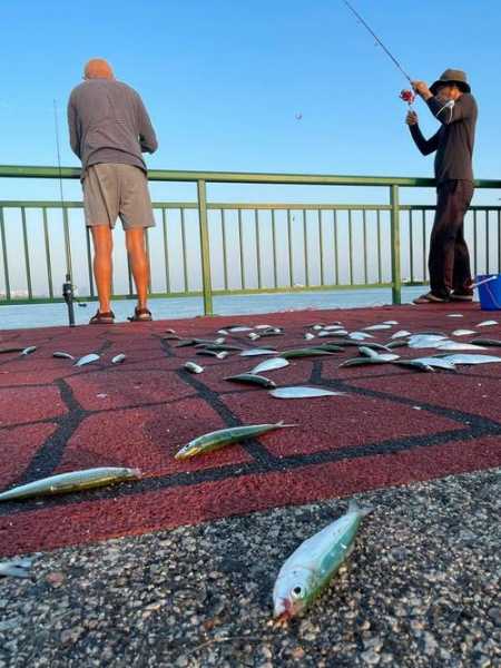 新加坡下雨钓鱼怎么样？新加坡 雨季？