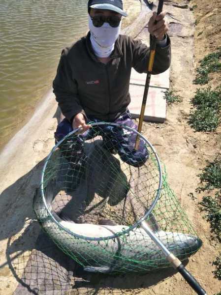 河口河边钓鱼怎么样，河口河边钓鱼怎么样好钓吗！