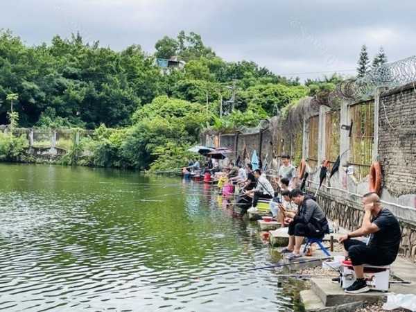 深圳钓鱼工怎么样，深圳钓鱼圣地！