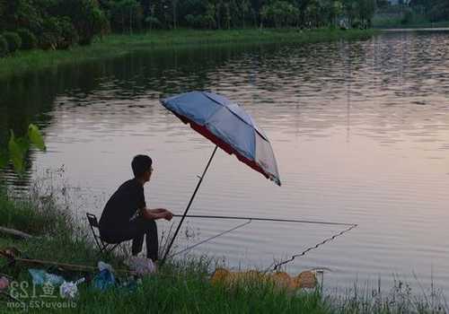 湘湖钓鱼怎么样，湘湖哪里可以钓鱼野钓！