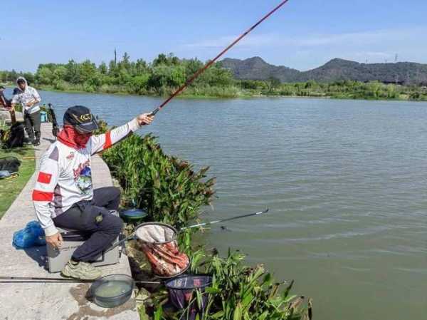 湘湖钓鱼怎么样，湘湖哪里可以钓鱼野钓！