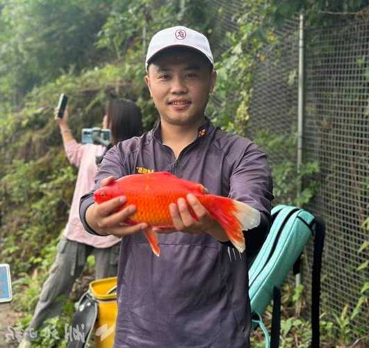 鹤峰码头钓鱼怎么样，鹤峰码头钓鱼怎么样好钓吗？