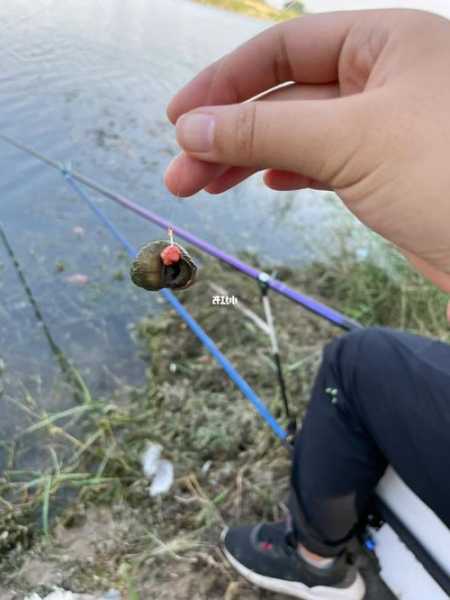 怎么样钓鱼不累人，怎样才能钓住鱼