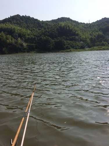 大村码头钓鱼怎么样，大村水库！