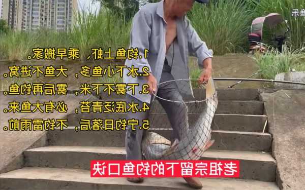 怎么样才能去钓鱼，如何才能钓到鱼?