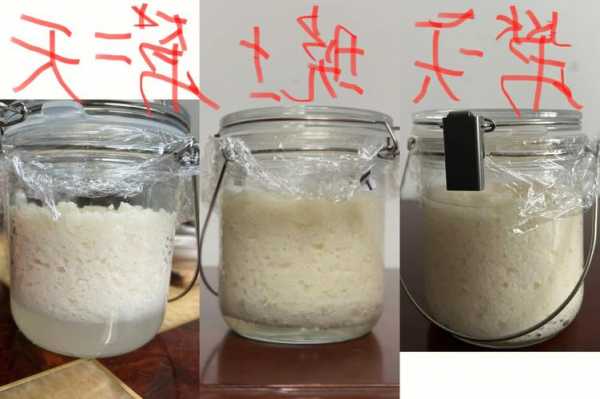 用醪糟钓鱼怎么样，新发现的醪糟钓鱼用法