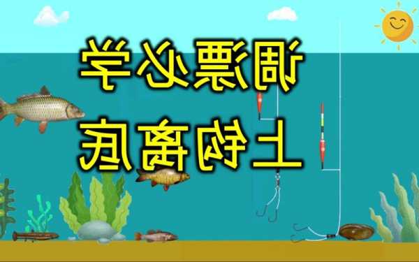 想学钓鱼怎么样学？想学钓鱼怎么样学的快？