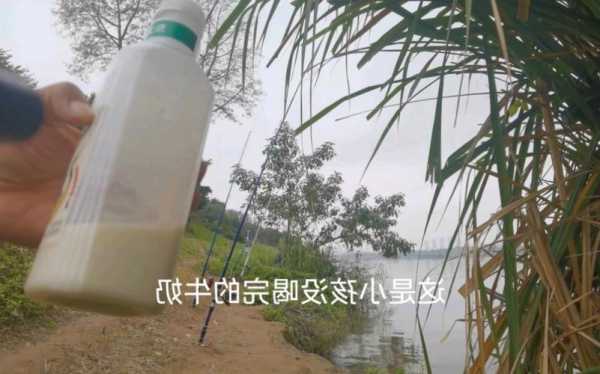 纯牛奶钓鱼怎么样？纯牛奶钓鱼怎么样啊？