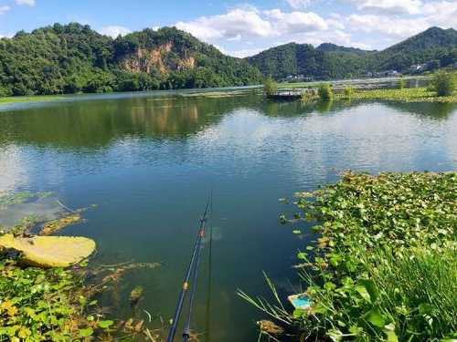 金秋周边钓鱼怎么样，金秋最佳旅游景点