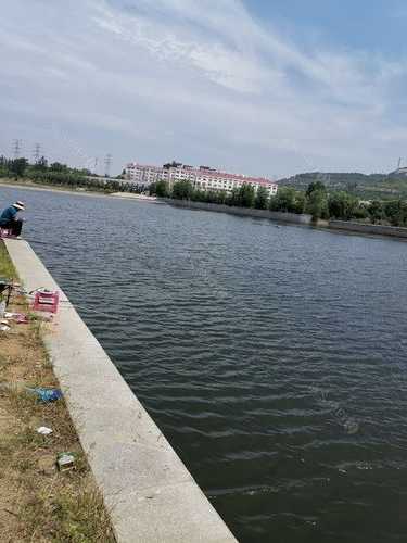 莱山淡水钓鱼怎么样，莱山垂钓园