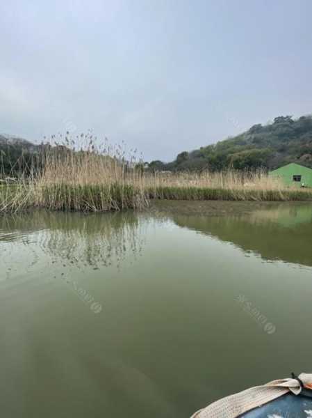 宁波甬江钓鱼怎么样？宁波甬新河钓鱼钓点？