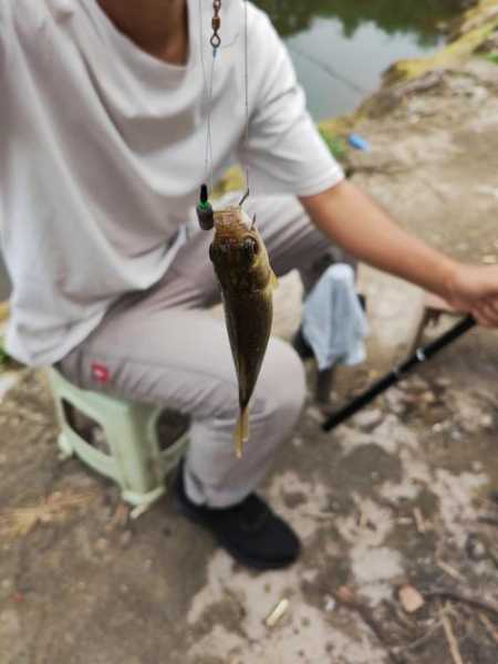 每天都去钓鱼怎么样，一天到晚钓鱼的人是不是很有钱