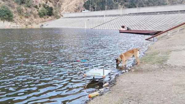 沅陵冬天钓鱼怎么样，沅陵冬天钓鱼怎么样啊？