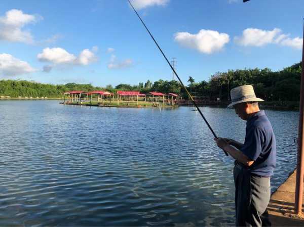 湿地湖畔钓鱼怎么样，湿地湖畔钓鱼怎么样才能钓到？