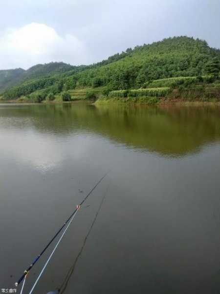 睢县寨子钓鱼怎么样，寨子沟水库让钓鱼吗？