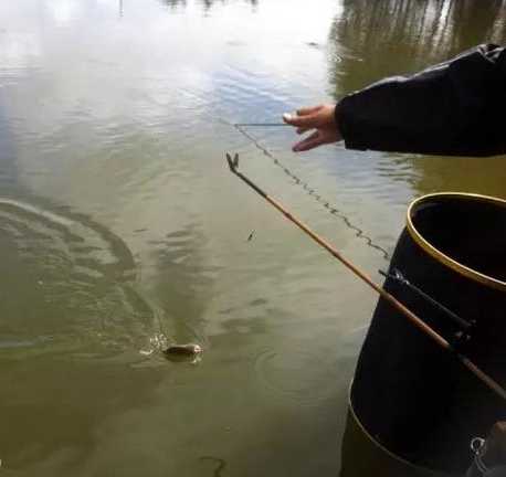 浑水里钓鱼怎么样，浑水里面能钓鱼吗！