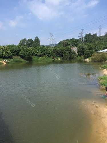 沙溪钓鱼怎么样，中山市沙溪镇钓鱼地方！