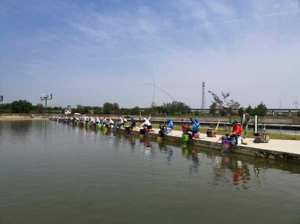 铜陵钓鱼庄园怎么样，铜陵渔园农庄竞技垂钓基地