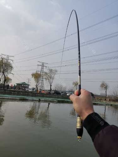 钟祥小王钓鱼怎么样，钟祥小王钓鱼怎么样呀